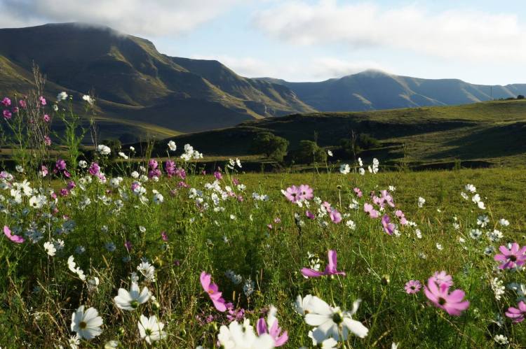 Photo by Jammin N Ting