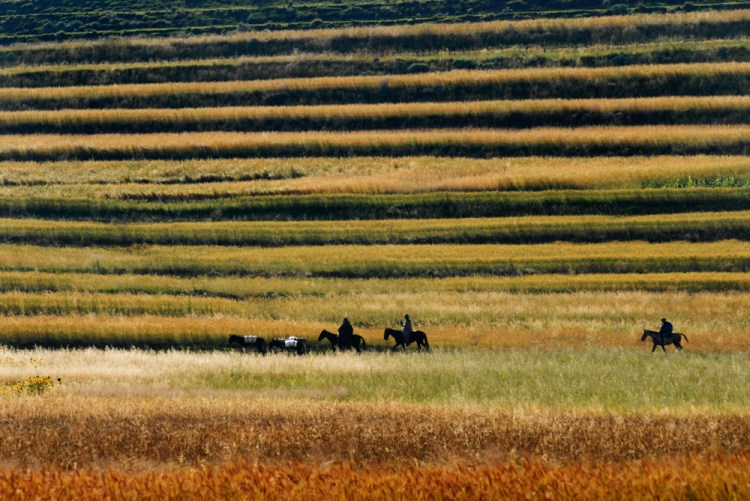 Horsemen in fields, Lesotho | © Meri Hyöky Photography