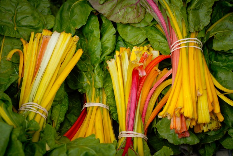 MeriHyokyPhoto-SPFM-0156